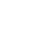 VIGO logo